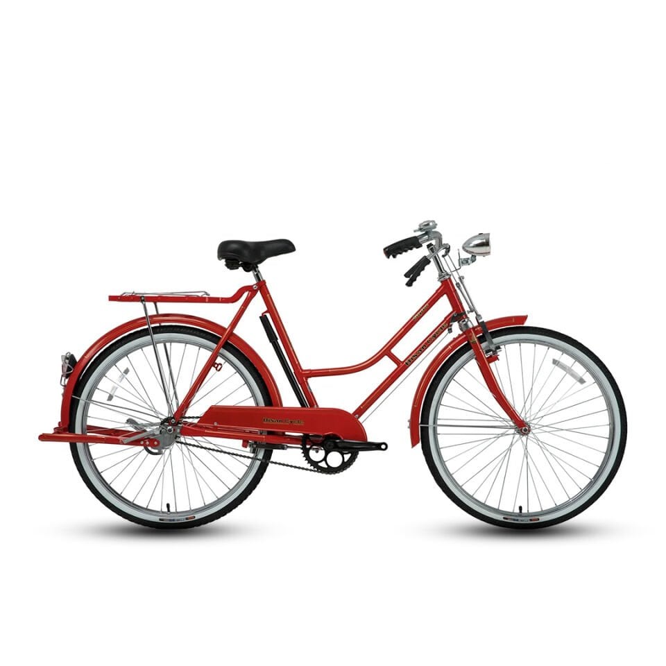 Roadstar Classic Lady Bisan Hizmet Bisikleti