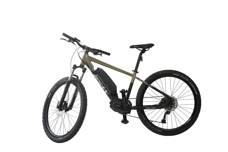 Bisan Arrow E-MTB 24 Jant 9 Vites Elektrikli Dağ Bisikleti Metalik Bej